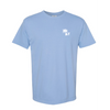 LIMITED RELEASE: Delta Upsilon Summer Comfort Colors T-Shirt