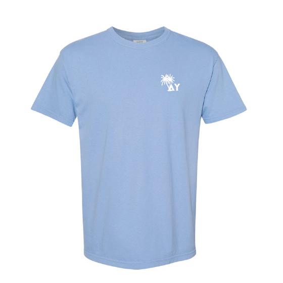 LIMITED RELEASE: Delta Upsilon Summer Comfort Colors T-Shirt