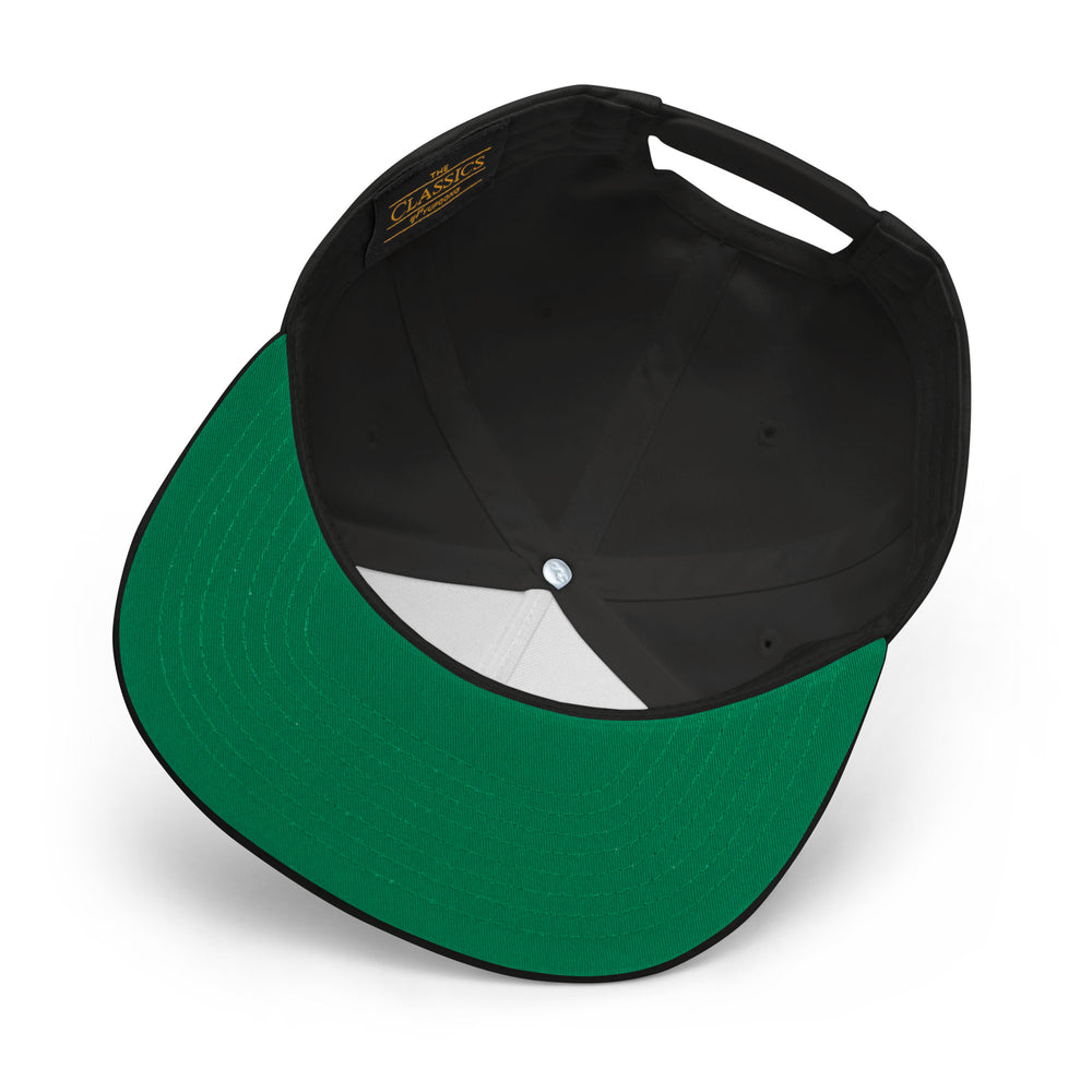 LIMITED RLEASE: DU Retro Snapback Hat