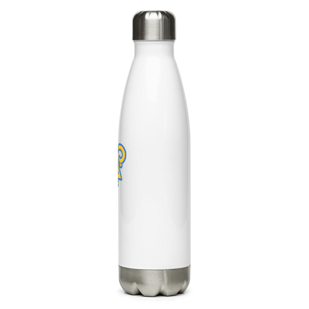 
                      
                        Delta Upsilon Stainless Steel Water Bottle
                      
                    