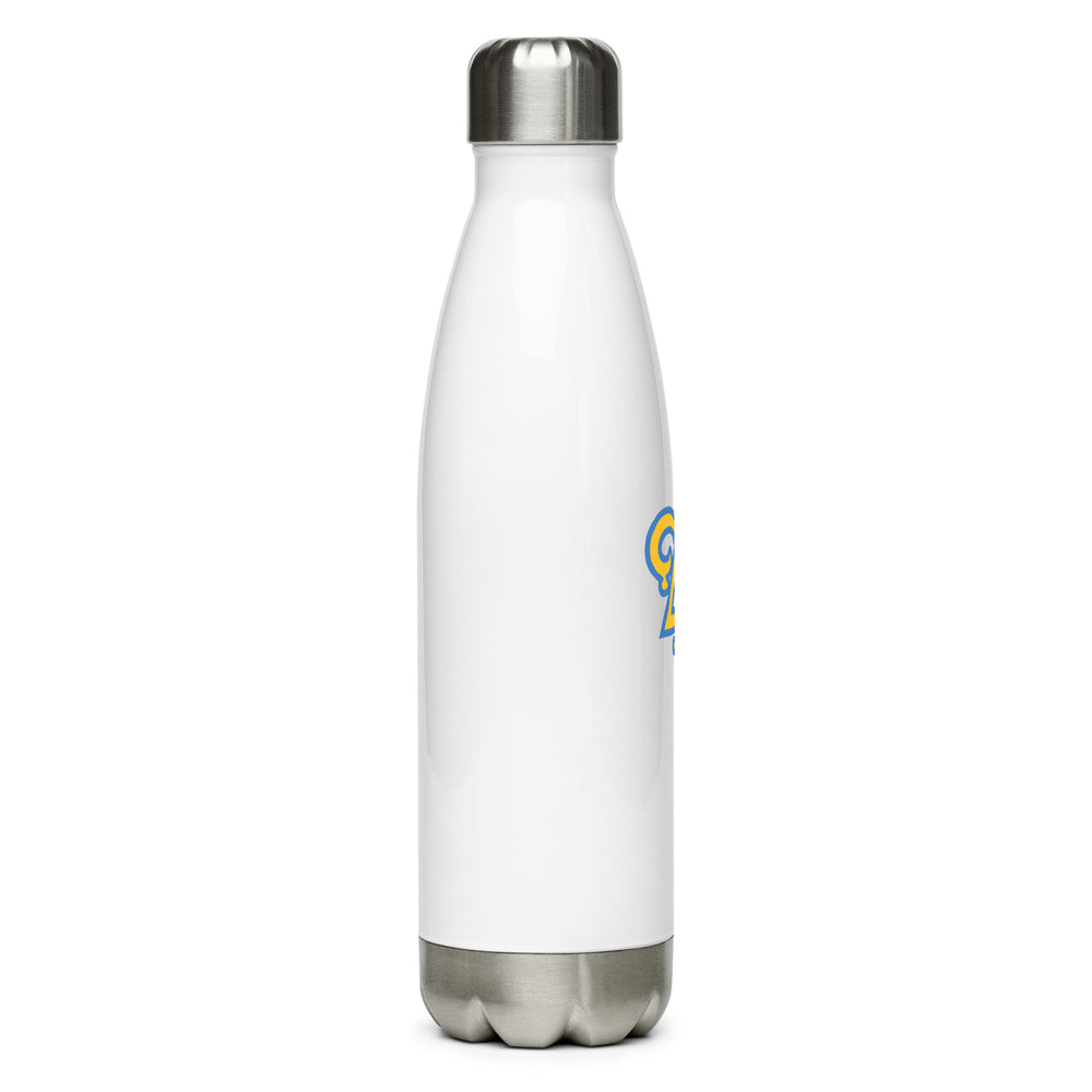 
                      
                        Delta Upsilon Stainless Steel Water Bottle
                      
                    