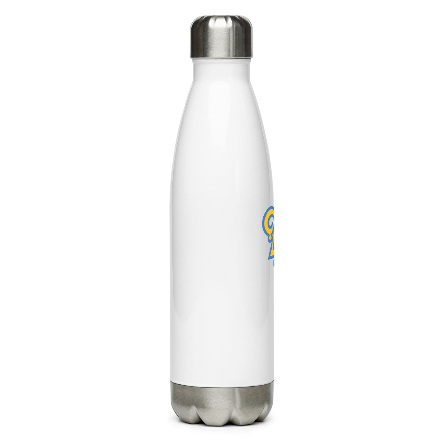 Delta Upsilon Stainless Steel Water Bottle