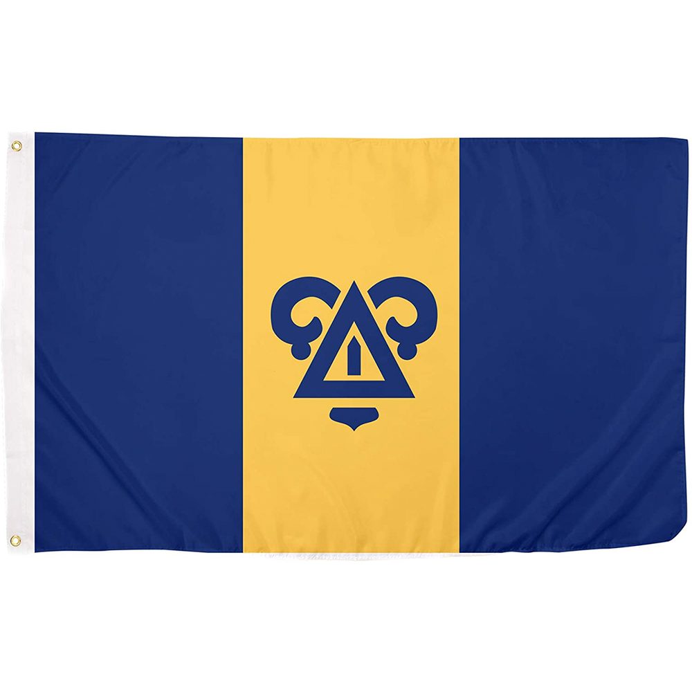 
                      
                        Delta Upsilon Official Flag
                      
                    