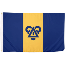 Delta Upsilon Flag