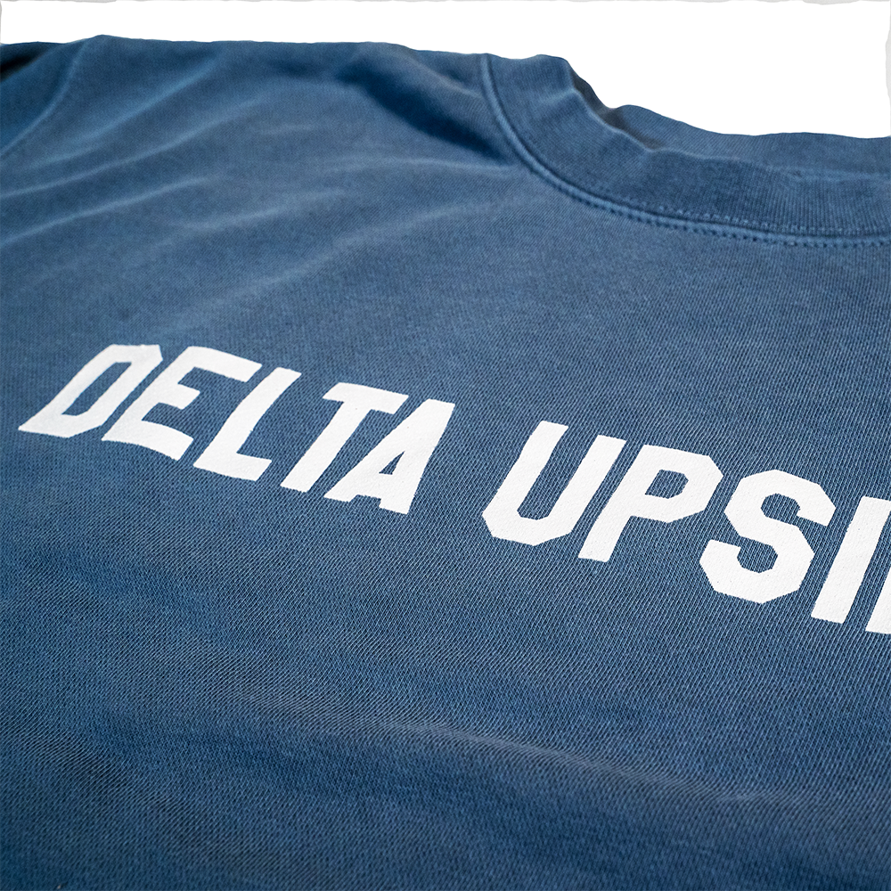 Delta Upsilon College Crewneck Sweatshirt