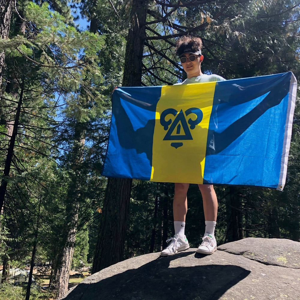 
                      
                        Delta Upsilon Official Flag
                      
                    