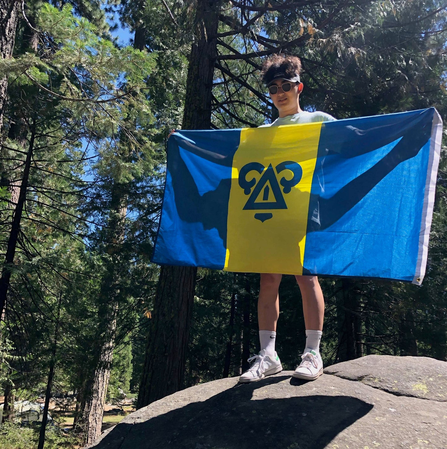 Delta Upsilon Official Flag